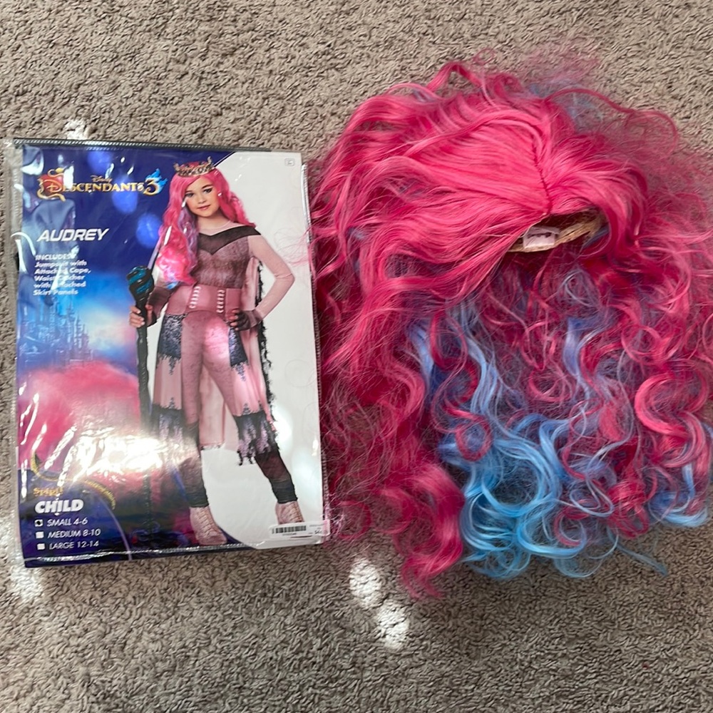 Disney Descendants 3 Audrey Halloween Costume, worn once